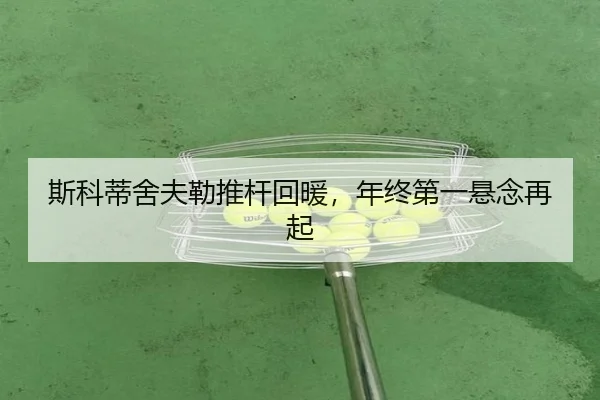 si-ke-di-she-fu-lei-tui-gan-hui-nuan-nian-zhong-di-yi-xuan-nian-zai-qi-3-602.jpg