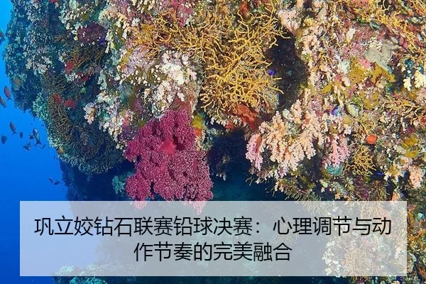 巩立姣钻石联赛铅球决赛：心理调节与动作节奏的完美融合